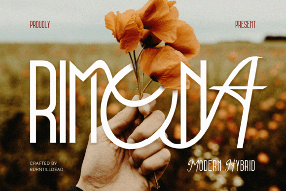 Rimona Font for Professional Branding and Design